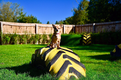 profile picture of Bark Doggy Daycare Sutton Coldfield