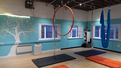 CAW Fitness, West Green (Castle Aerial & Wellbeing)