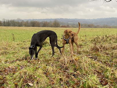 profile picture of Doris and friends profile picture