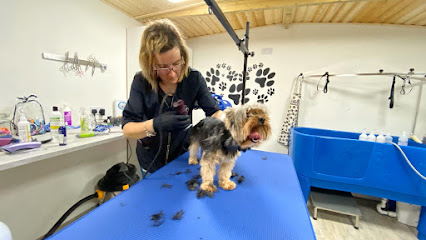 profile picture of DogGoSpa Dog Grooming Cat Grooming