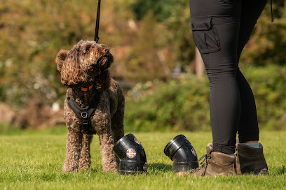 Jamie Pound Dog Training