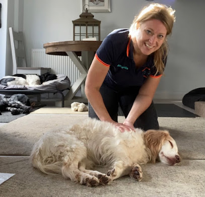 profile picture of Canine Massage Therapy Essex profile picture