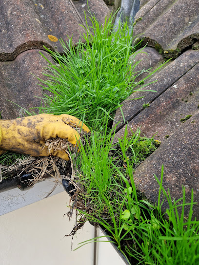 profile picture of Rayleigh Gutter Cleaning and Repairs