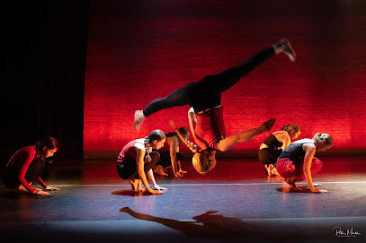 profile picture of Hastings School of Contemporary Dance