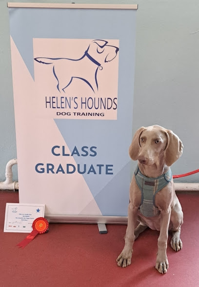 profile picture of Helen's Hounds - Dog Training profile picture