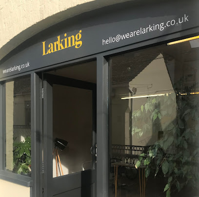 Larking — Design & Digital Marketing Agency