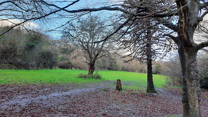 St Helens Wood