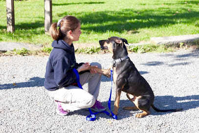 Val's K9 Training