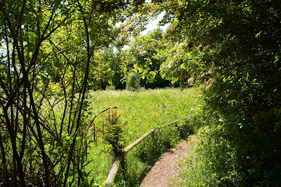 profile picture of Hill Rise Local Nature Reserve