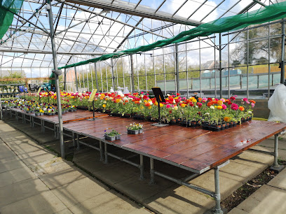 profile picture of The Oaks Nurseries