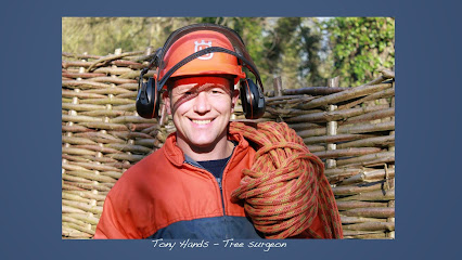 profile picture of Hands on Tree Care profile picture