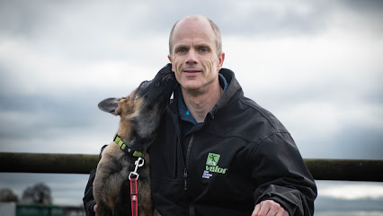 profile picture of Vislor Dog Training - Leicestershire profile picture