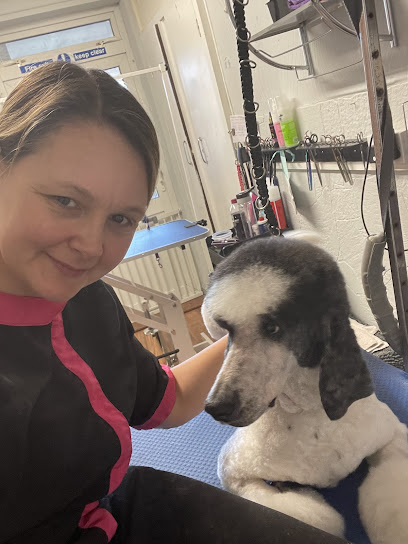 profile picture of Hayley’s Happy Paws Grooming & Training