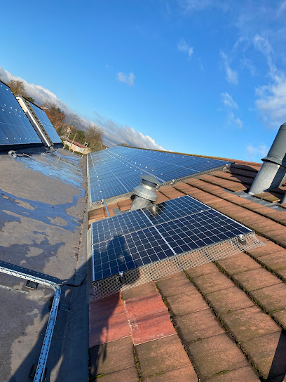 profile picture of Pigeon solar panels profile picture