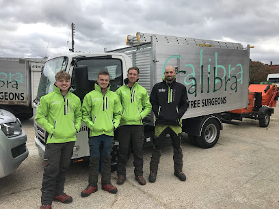 profile picture of Calibra Tree Surgeons profile picture