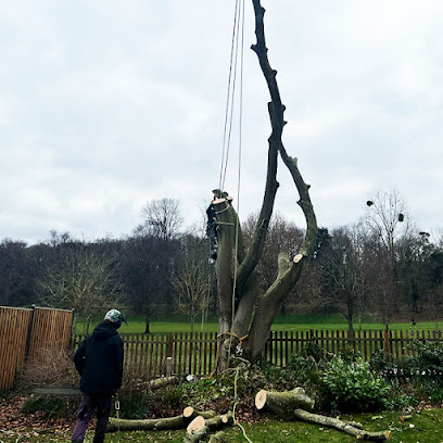 profile picture of Guildford Tree Surgeons profile picture