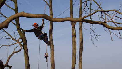 profile picture of Dryad Tree Specialists Ltd profile picture