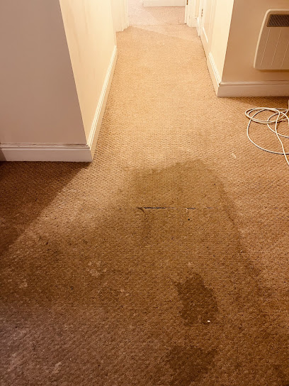 profile picture of SteamX End of Tenancy & Carpet Experts profile picture