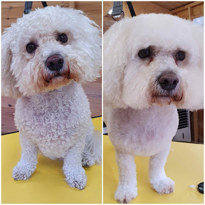 profile picture of Doodles Dog Grooming, Bracknell profile picture