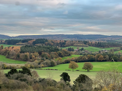 profile picture of Newlands Corner profile picture