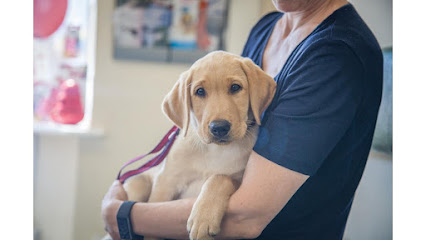 profile picture of Mearley Veterinary Group