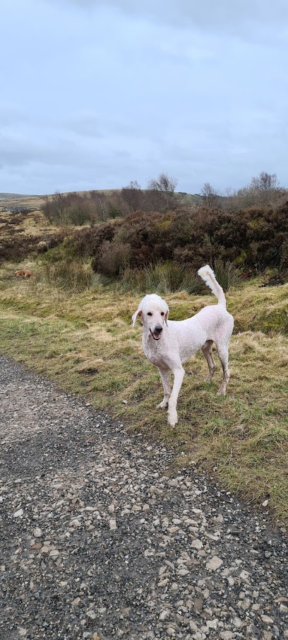 profile picture of Burnley Dog Groomers profile picture