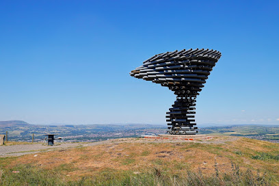 profile picture of Singing Ringing Tree profile picture