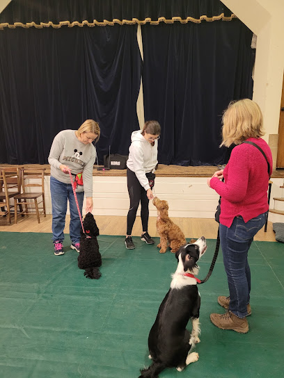 AMCBT(Academy of Modern canine Behaviour and Training) Bishopstoke Branch (Eastleigh)