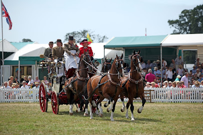 profile picture of New Forest and Hampshire County Show profile picture