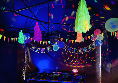 profile picture of Canvas and Dreams Events - Event and Party Planning, Party Gazebos and Igloo Domes, Outdoor Cinemas, Neon Discos profile picture