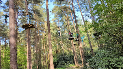 Go Ape Bracknell