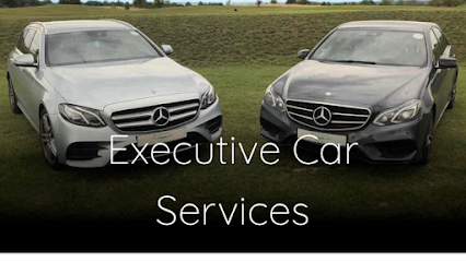 Riverview Travel- Airport transfers and long distance work only