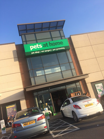 profile picture of Pets at Home Belfast