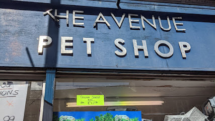 profile picture of Avenue Pet Shop