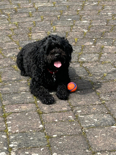 Whitley Bay Pet Supplies