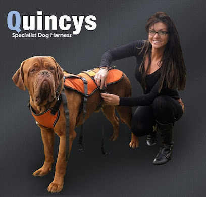 profile picture of Quincysdogs profile picture