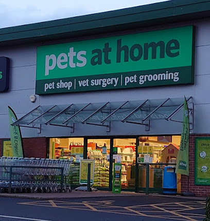 Pets at Home Stoke Festival