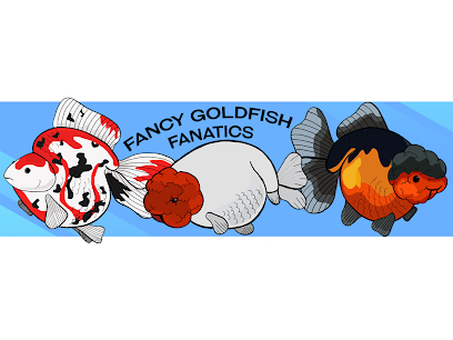 profile picture of Fancy Goldfish fanatics profile picture