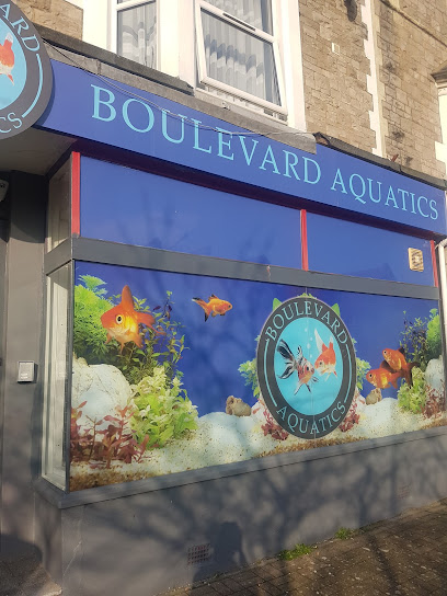 profile picture of Boulevard aquatics profile picture