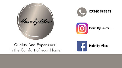 profile picture of Hair By Alex - Mobile Hairdresser profile picture