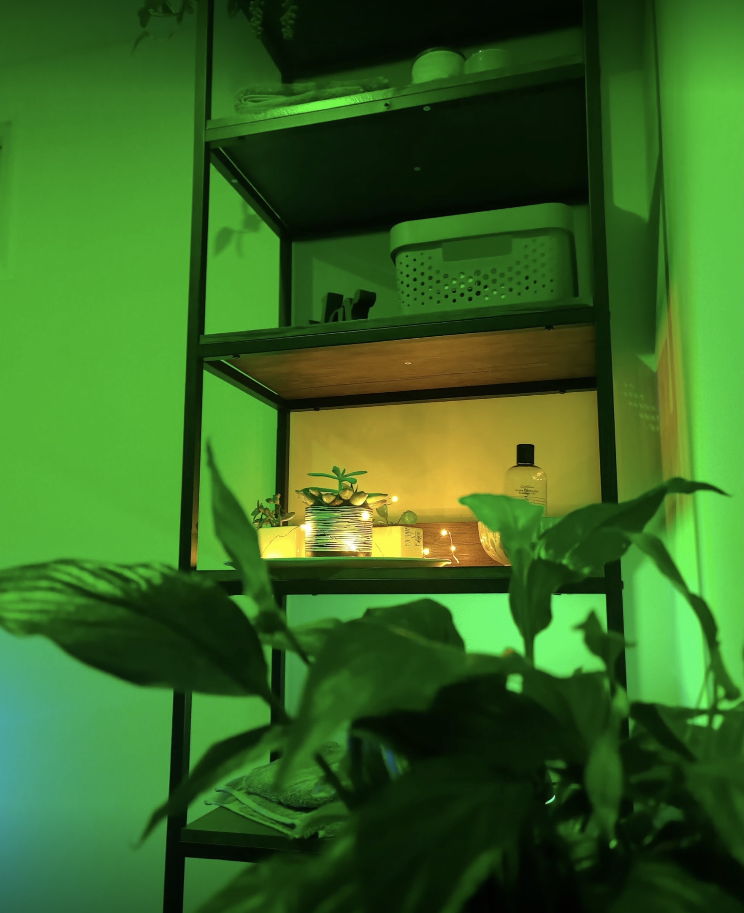 profile picture of Zen Den Worthing