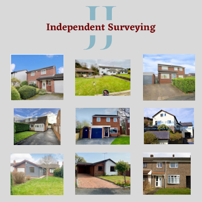 profile picture of JJ Independent Surveying