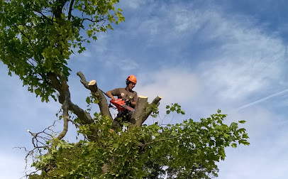 profile picture of Bruks Tree Surgery