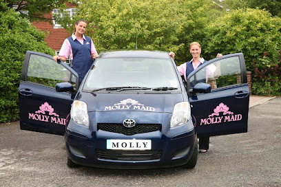 profile picture of Molly Maid in Gravesend & Medway