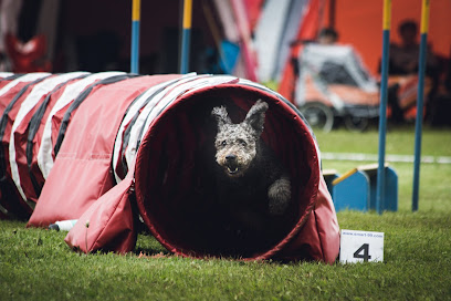 profile picture of Animal Behaviour Kent