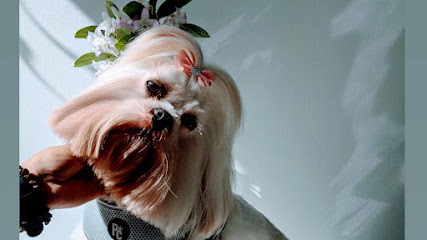 profile picture of Royal Bubbles Dog Grooming profile picture