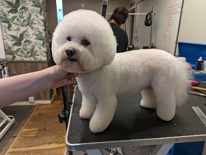 profile picture of Woodland Paws Dog Grooming