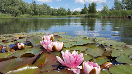 profile picture of Leybourne Lakes Country Park