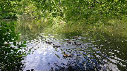 profile picture of Brockhill Country Park