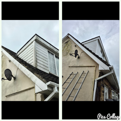 profile picture of LSV Exterior Cleaning Services profile picture